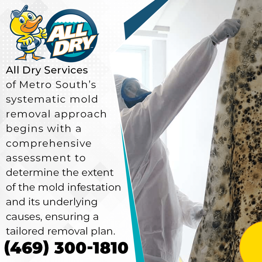 AD-MS-Mold-Removal