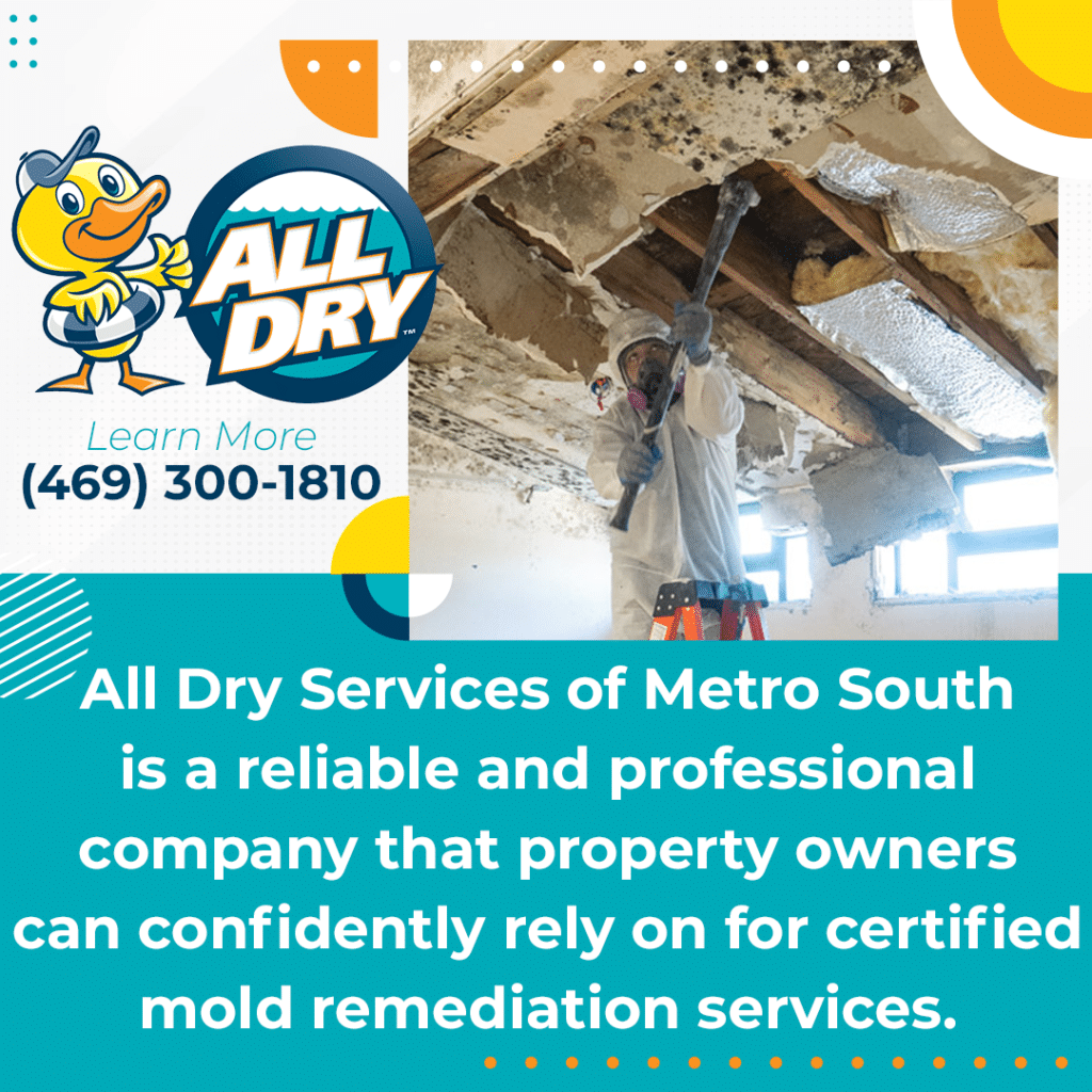 Certified Mold Remediation Services