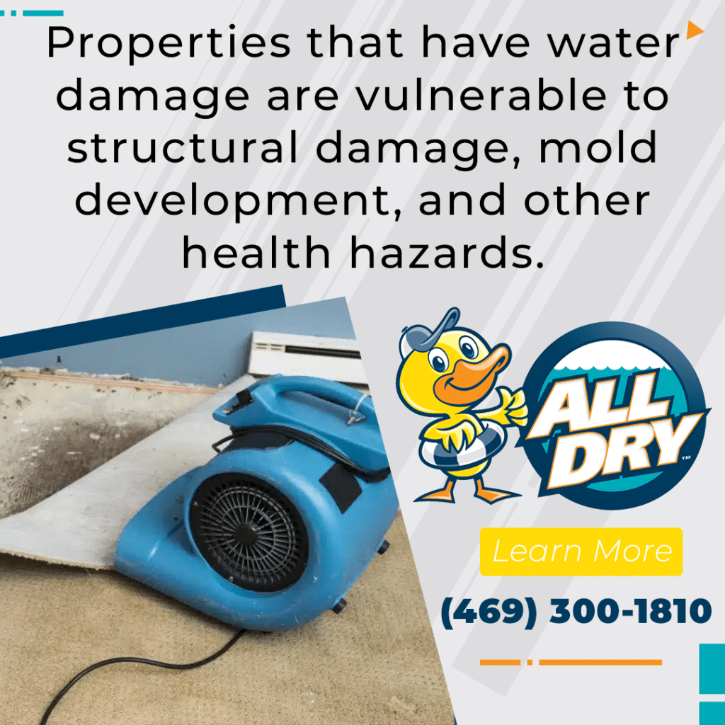 Blue air mover by All Dry on a wet floor, emphasizing the importance of addressing water damage promptly to prevent health risks, with contact information available