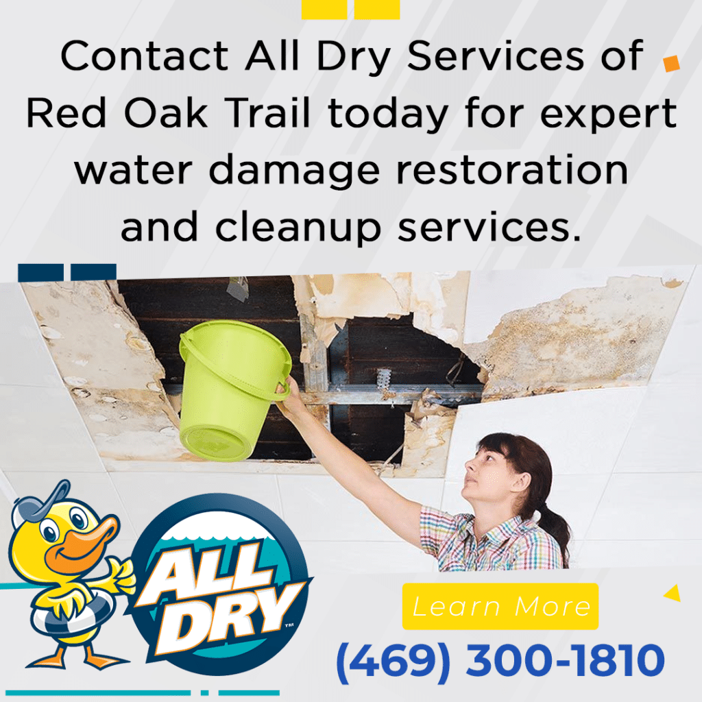 Professional from All Dry Services performing water damage restoration, depicted by an individual with a bucket catching drips from a damaged ceiling.